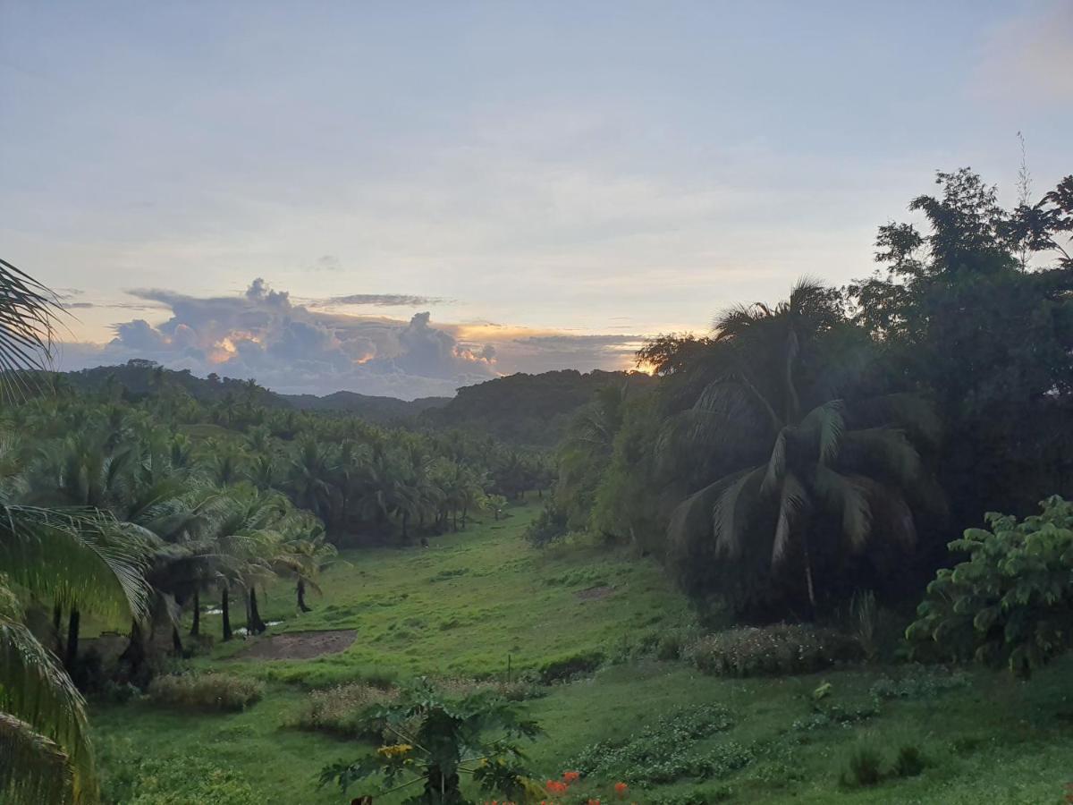 Mango Tree Siargao Villa Хенерал Луна Екстериор снимка